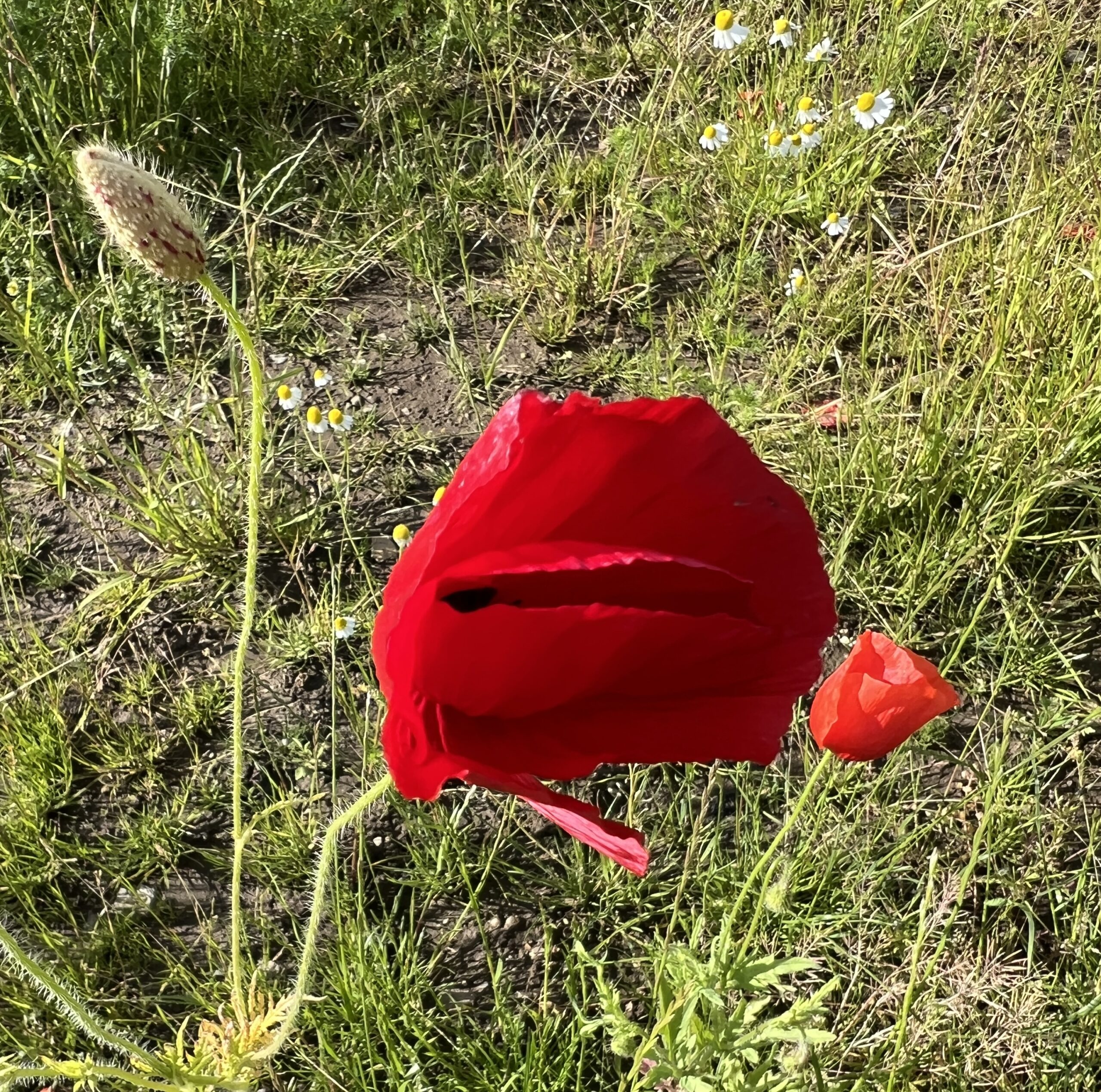 Kan du erindre et sted?